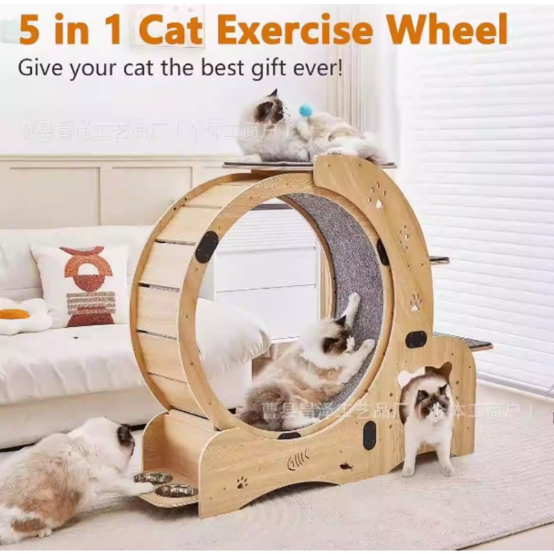 Cat Running Wheel Exercise Treadmill - High Quality Cat Exercise Running Wheel