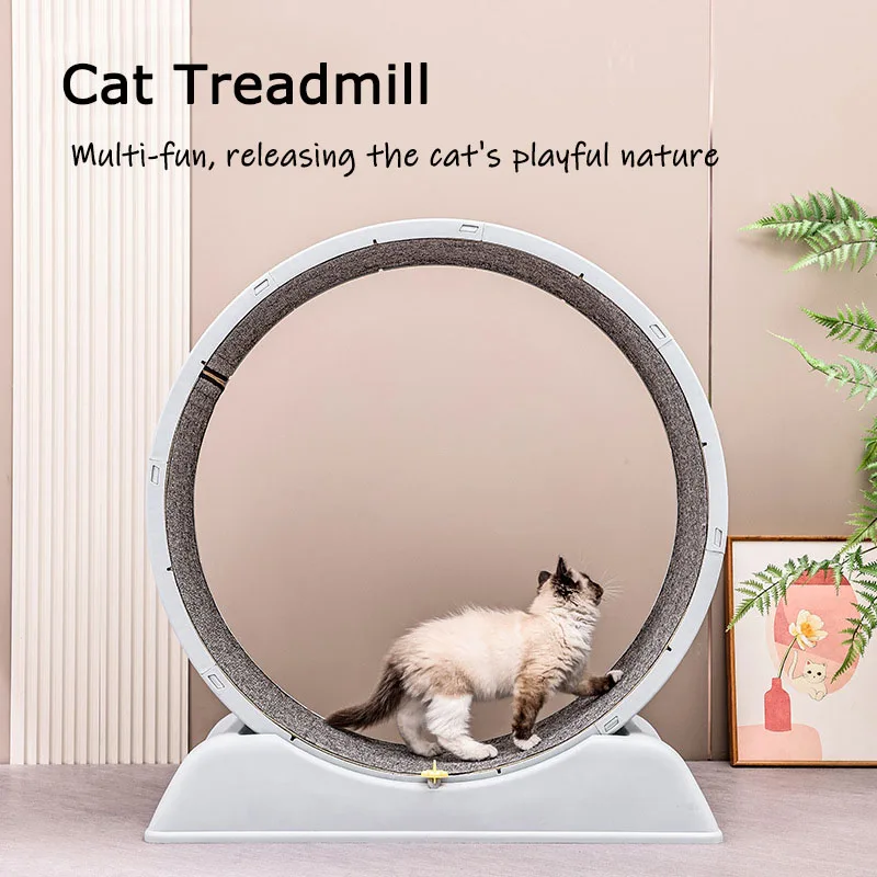 Cat Running Wheel Exercise Treadmill - Silent Cat Treadmill Running Wheel Large