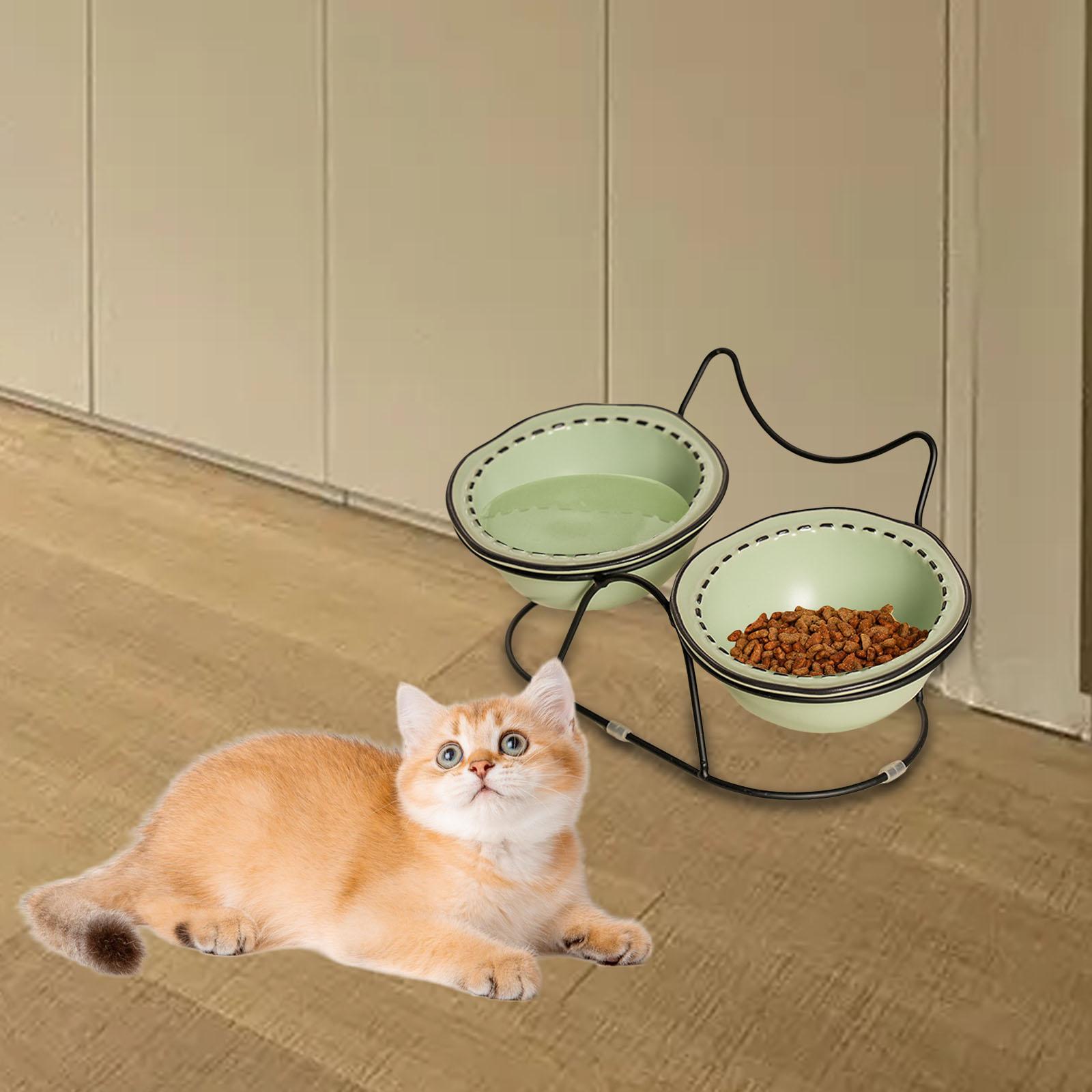 Elevated Ceramic Cat Bowls Tilted Food - Cat Food Bowls Elevated Tilted Anti