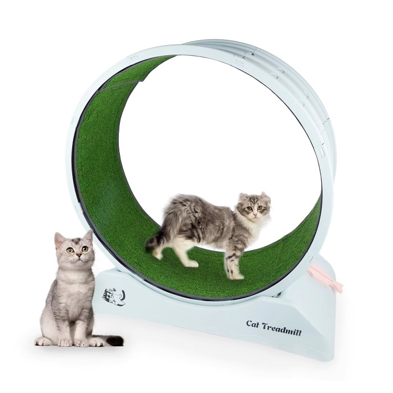 Cat Running Wheel Exercise Treadmill - Extra Large 74cm Cat Exercise Wheel