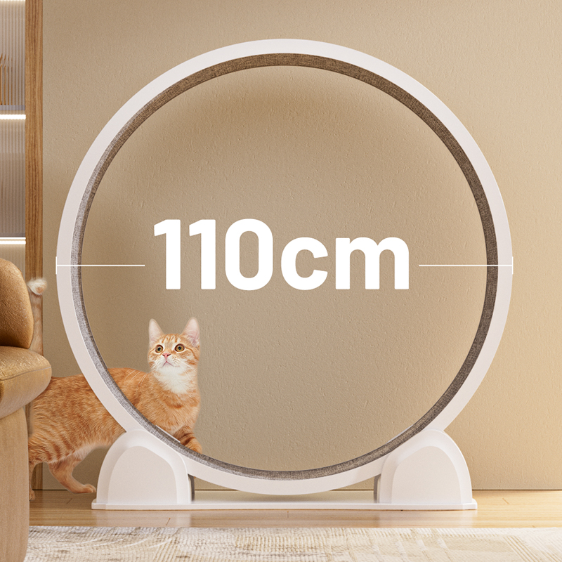 Cat Running Wheel Exercise Treadmill - CATSOUL Digital Display Cat Treadmill 110cm