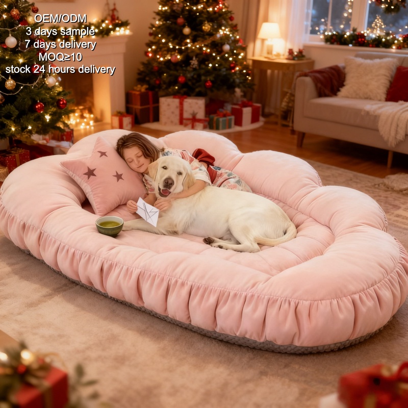 Orthopedic Memory Foam Dog Bed Washable - Custom Human Dog Bed Orthopedic Dog