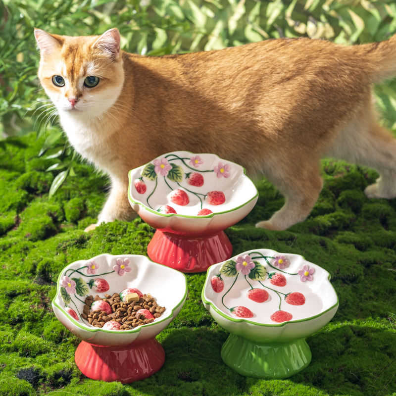 Elevated Ceramic Cat Bowls Tilted Food - Ceramic Strawberry Elevated Cat Bowls Tilted