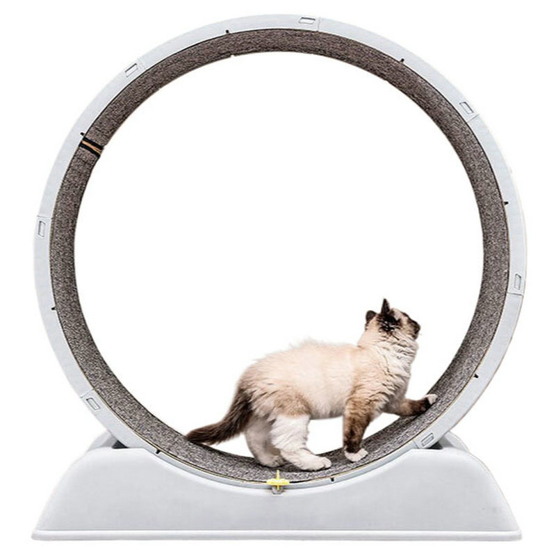 Cat Running Wheel Exercise Treadmill - New Cat Treadmill with Silent and