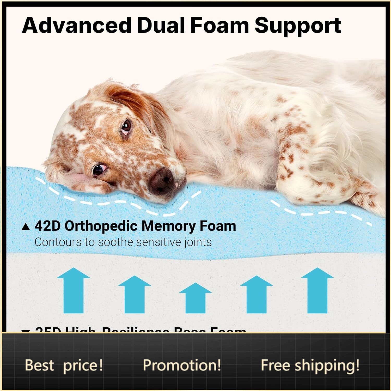 Orthopedic Memory Foam Dog Bed Washable - Orthopedic Memory Foam Dog Bed for