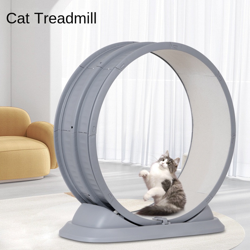 Pet Fitness Plastic Anti-Pinch - Cat Running Wheel Exercise Treadmill 评论和价格