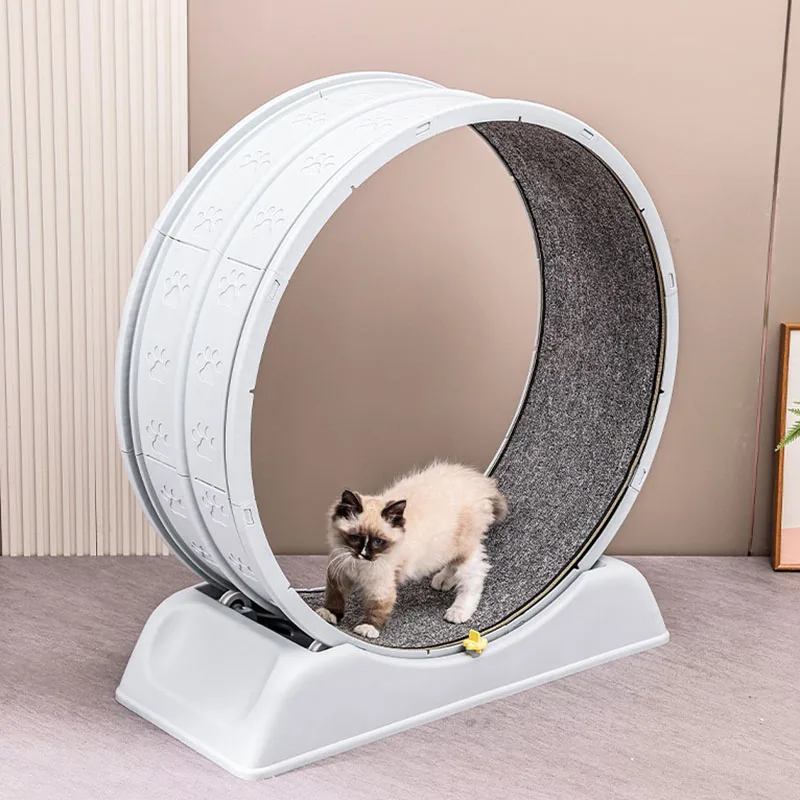 Silent Cat Treadmill Running W - Cat Running Wheel Exercise Treadmill 评论和价格
