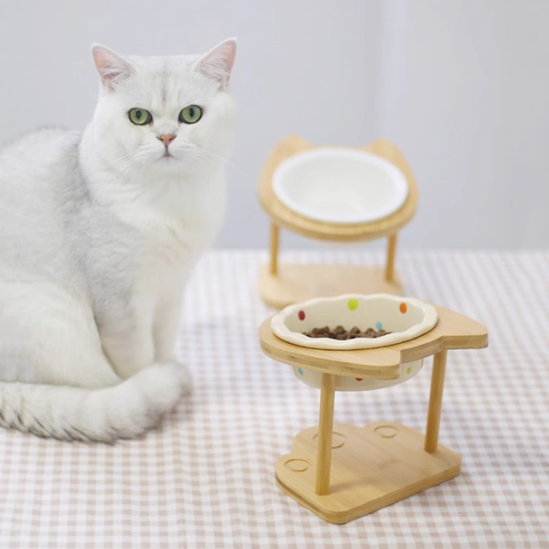 Cute Elevated Tilt Cat Bowl wi - Elevated Ceramic Cat Bowls Tilted Food 评论和价格