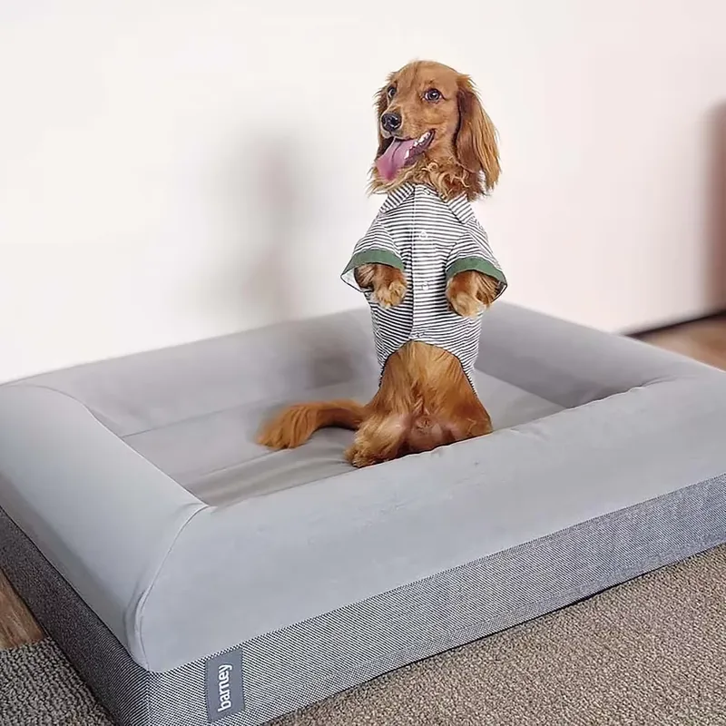 for Memory Foam Orthopedic Lux - Orthopedic Memory Foam Dog Bed Washable 评论和价格