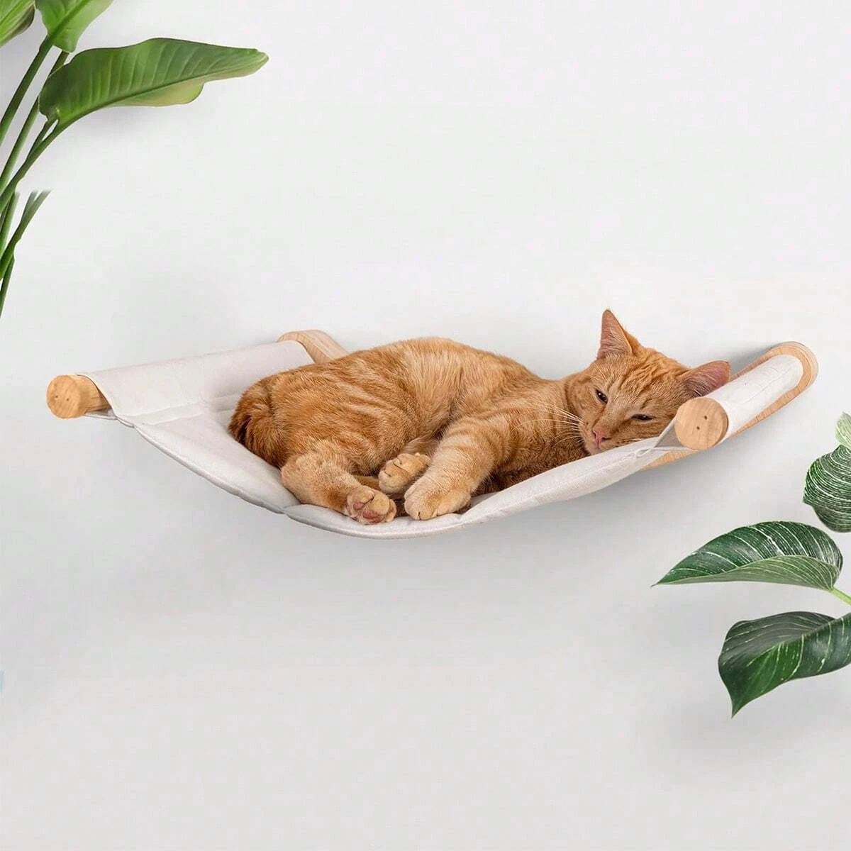 Cat Wall Climbing Shelves Sisa - Cat Wall Climbing Shelves Hammock Wooden 评论和价格