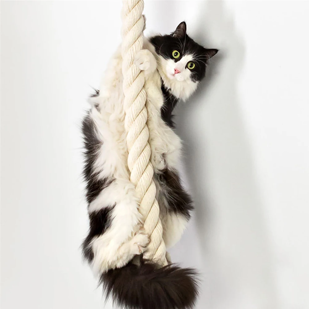 Cat Wall Climbing Shelves Sisa - Cat Wall Climbing Shelves Hammock Wooden 评论和价格