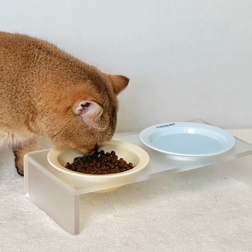 Ceramic Elevated Cat Bowl Soli - Elevated Ceramic Cat Bowls Tilted Food 评论和价格
