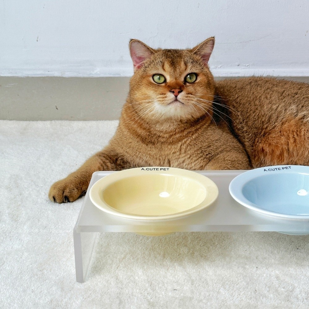 Ceramic Elevated Cat Bowl Soli - Elevated Ceramic Cat Bowls Tilted Food 评论和价格