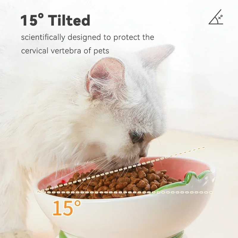 Cat Ceramic Bowl Small Dogs No - Elevated Ceramic Cat Bowls Tilted Food 评论和价格