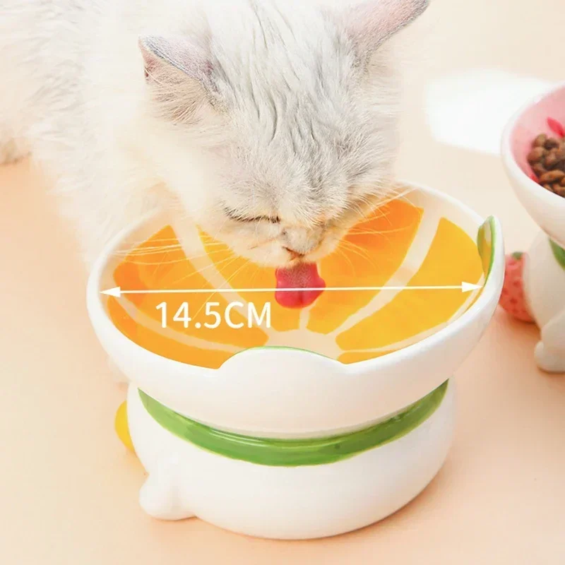 Cat Ceramic Bowl Small Dogs No - Elevated Ceramic Cat Bowls Tilted Food 评论和价格