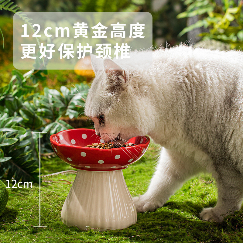 Elevated Tilted Ceramic Cat Bo - Elevated Ceramic Cat Bowls Tilted Food 评论和价格