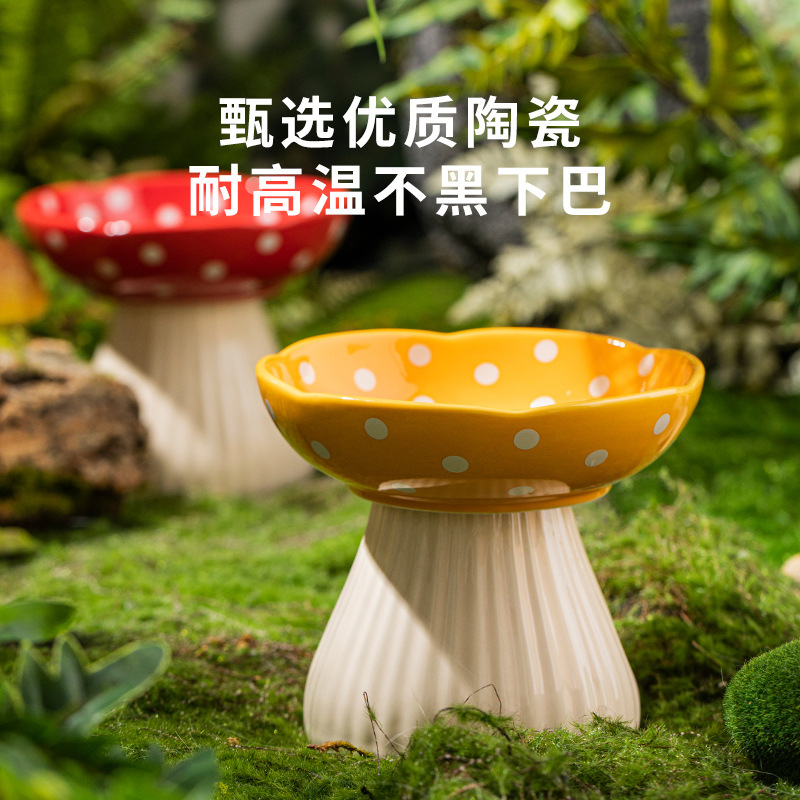 Elevated Tilted Ceramic Cat Bo - Elevated Ceramic Cat Bowls Tilted Food 评论和价格