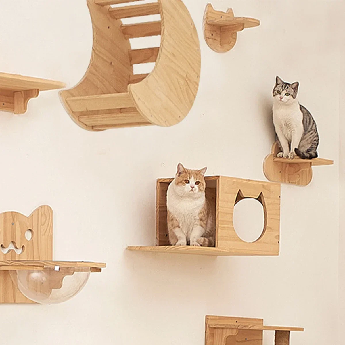 Wall Mounted Cat Shelves Wood  - Cat Wall Climbing Shelves Hammock Wooden 评论和价格