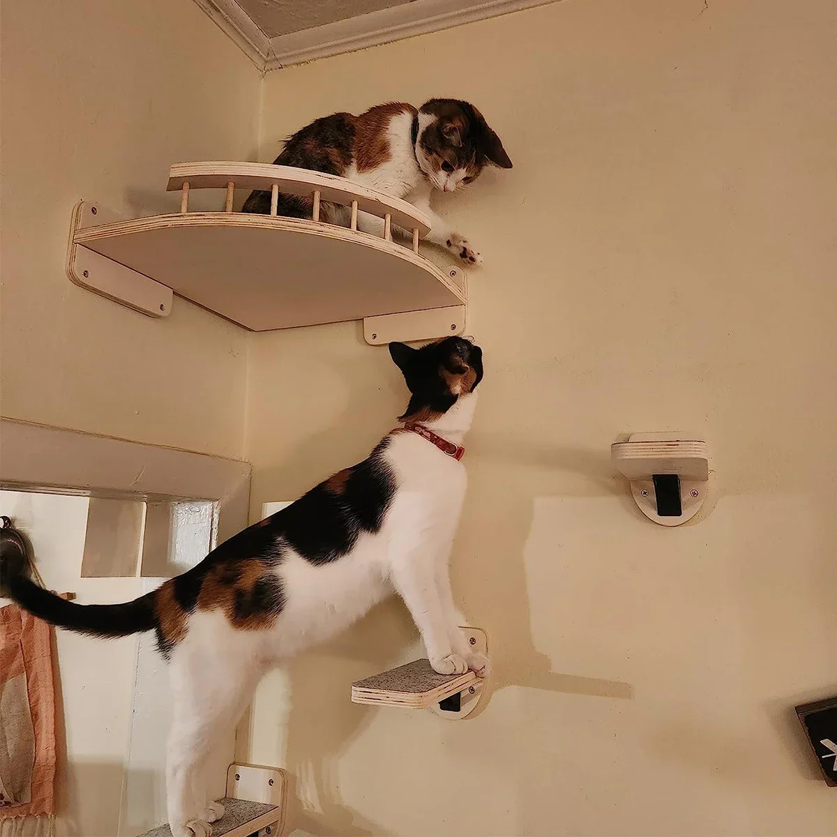 Wall Mounted Cat Shelves Wood  - Cat Wall Climbing Shelves Hammock Wooden 评论和价格