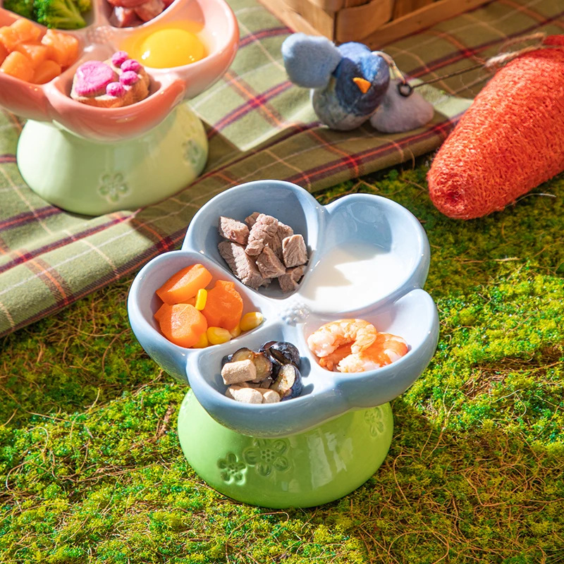 Elevated Ceramic Pet Bowl with - Elevated Ceramic Cat Bowls Tilted Food 评论和价格