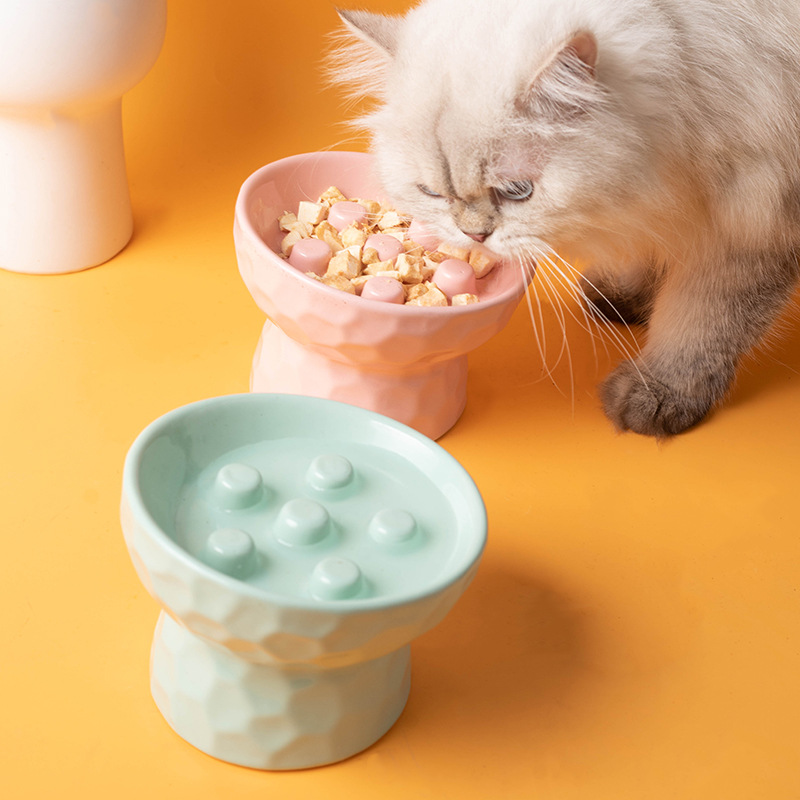 Ceramic Elevated Cat Bowl Slow - Elevated Ceramic Cat Bowls Tilted Food 评论和价格