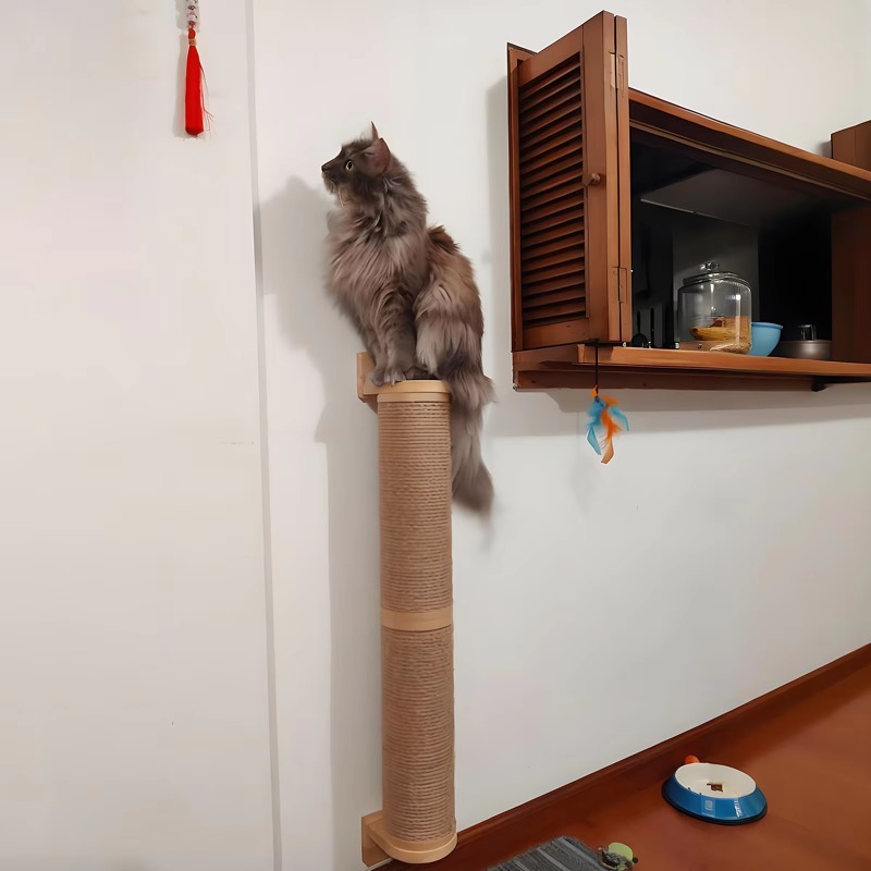 Cat Scratching Post Wall Climb - Cat Wall Climbing Shelves Hammock Wooden 评论和价格