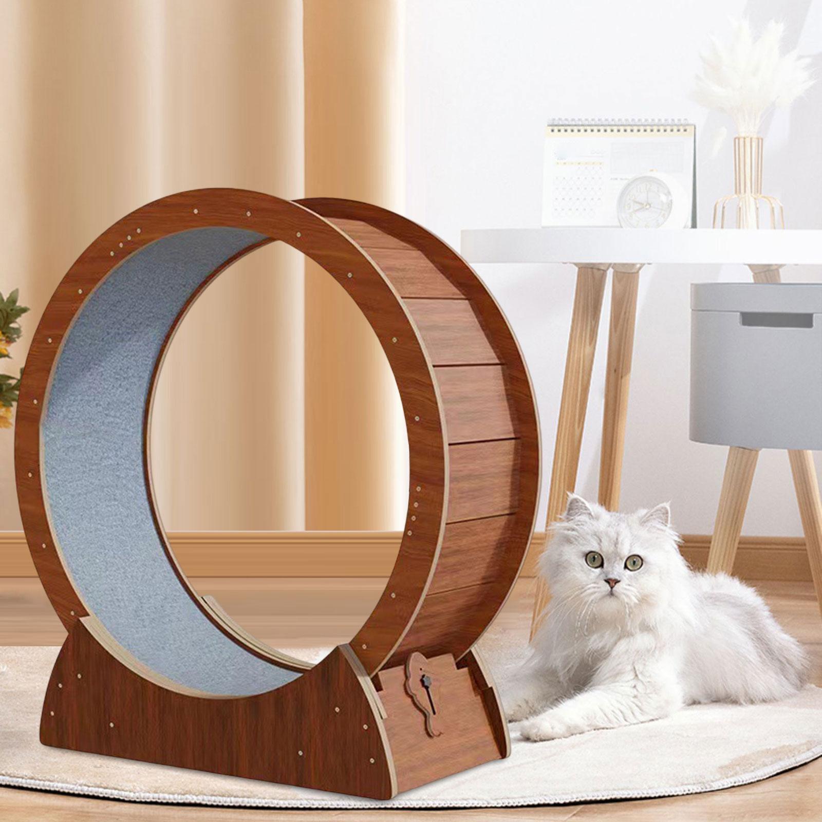 Cat Treadmill Wheel Cat Runnin - Cat Running Wheel Exercise Treadmill 评论和价格