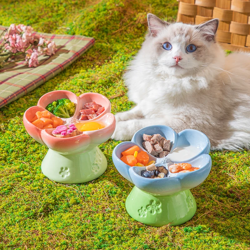 Elevated Ceramic Pet Bowl with - Elevated Ceramic Cat Bowls Tilted Food 评论和价格