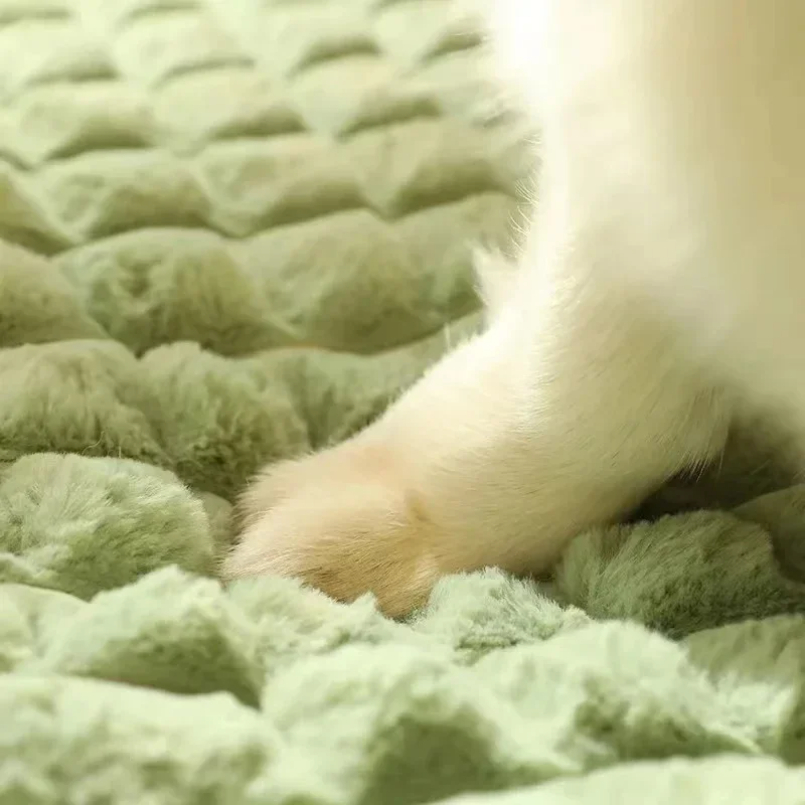 Machine Washable Dog Bed Remov - Orthopedic Memory Foam Dog Bed Washable 评论和价格
