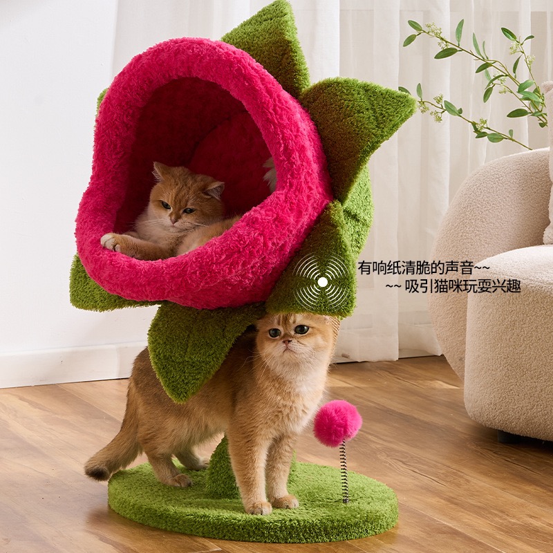 Cannibal Flower Cat Climbing F - Cat Scratching Post Sisal Tree Tower 评论和价格