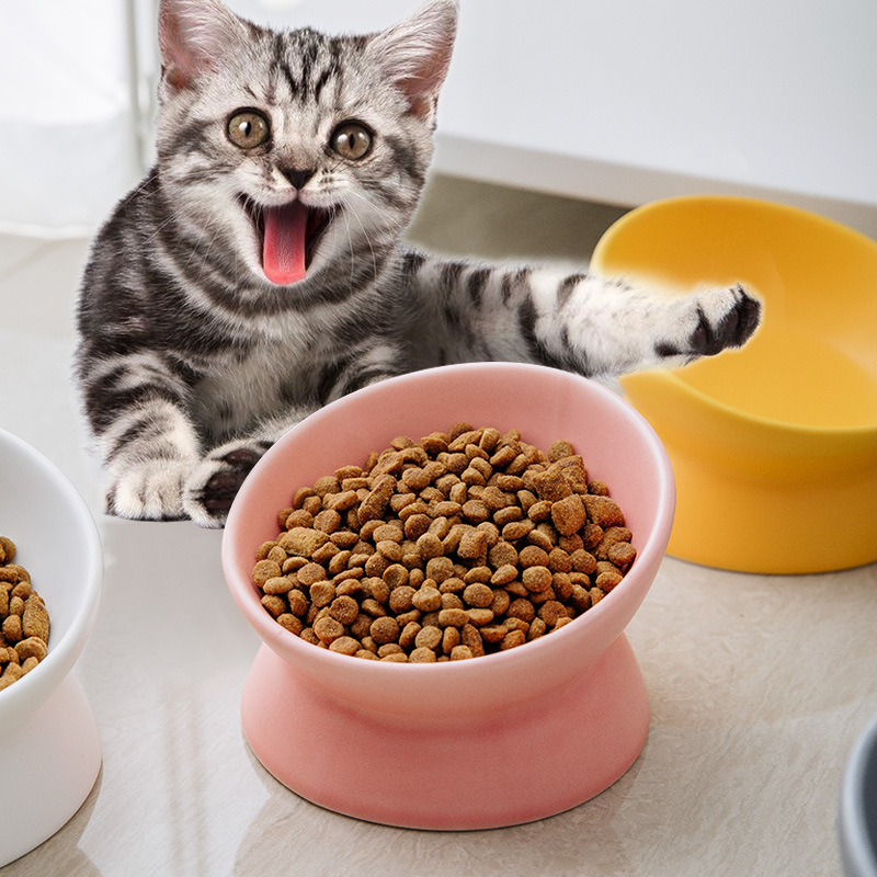 Elevated Cat Bowls Small Dog 1 - Elevated Ceramic Cat Bowls Tilted Food 评论和价格