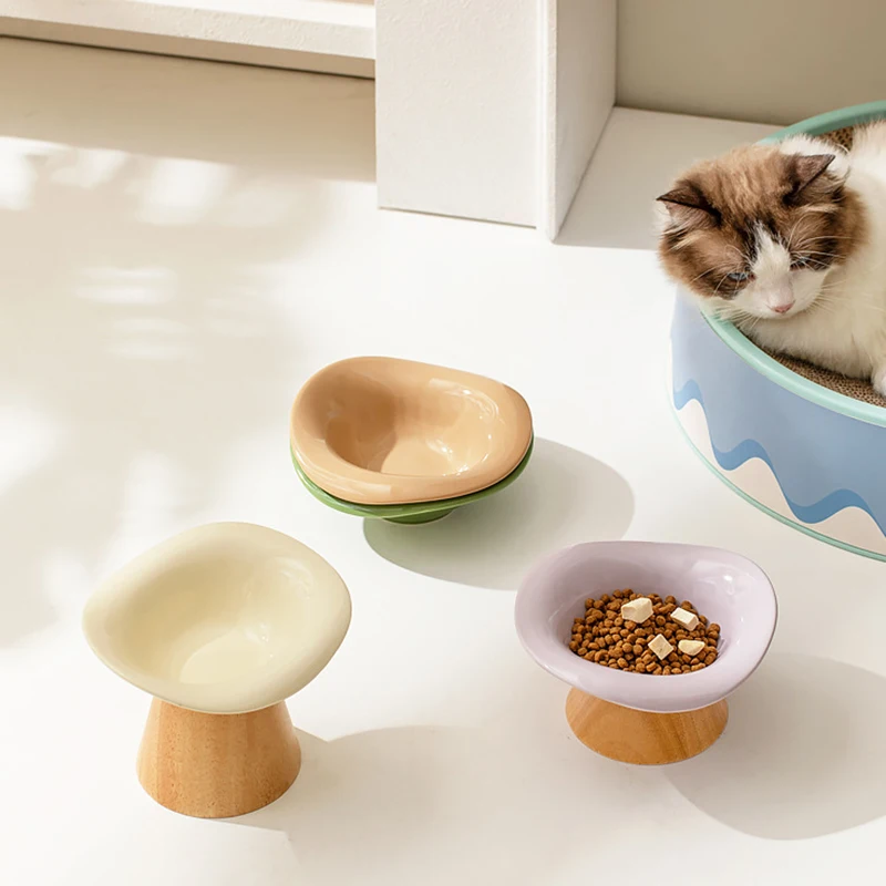 Cat Raised Tilted Food Water B - Elevated Ceramic Cat Bowls Tilted Food 评论和价格