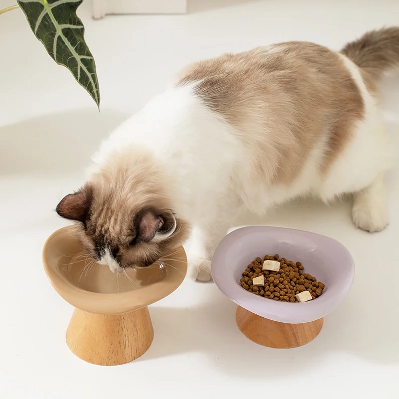 Cat Raised Tilted Food Water B - Elevated Ceramic Cat Bowls Tilted Food 评论和价格
