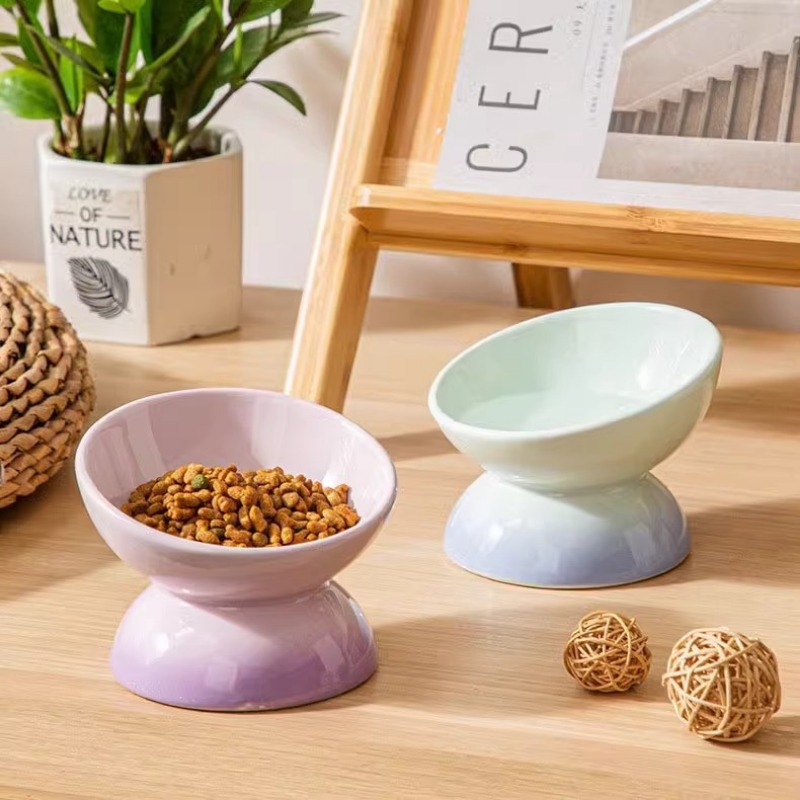 Ceramic Elevated Cat Bowls Til - Elevated Ceramic Cat Bowls Tilted Food 评论和价格