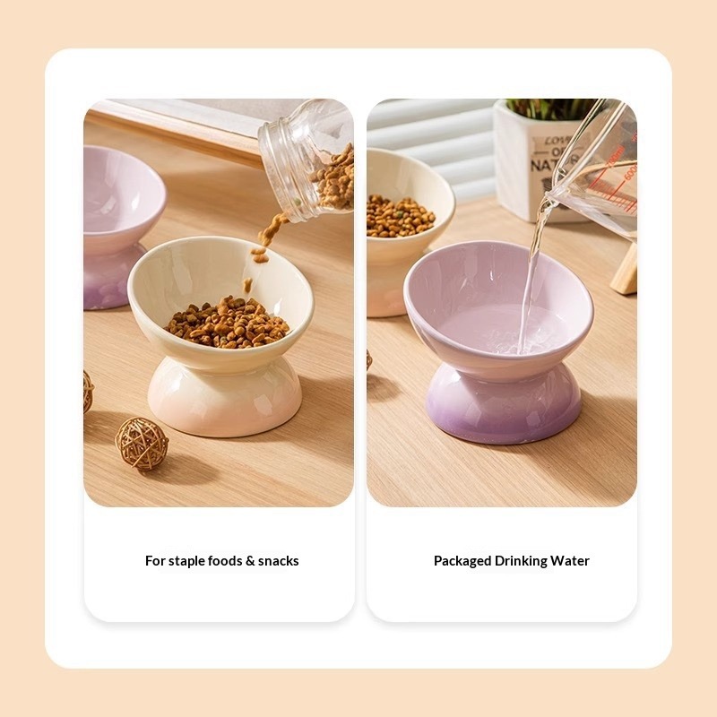 Ceramic Elevated Cat Bowls Til - Elevated Ceramic Cat Bowls Tilted Food 评论和价格