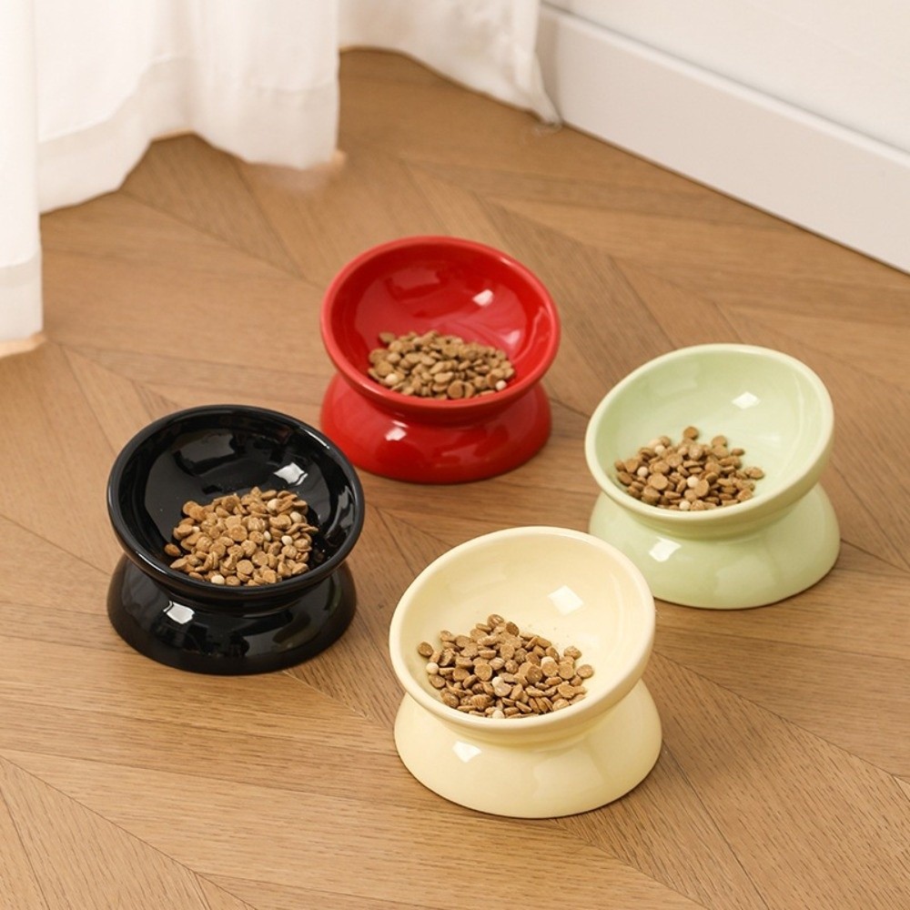 Large Diameter Ceramic Elevate - Elevated Ceramic Cat Bowls Tilted Food 评论和价格