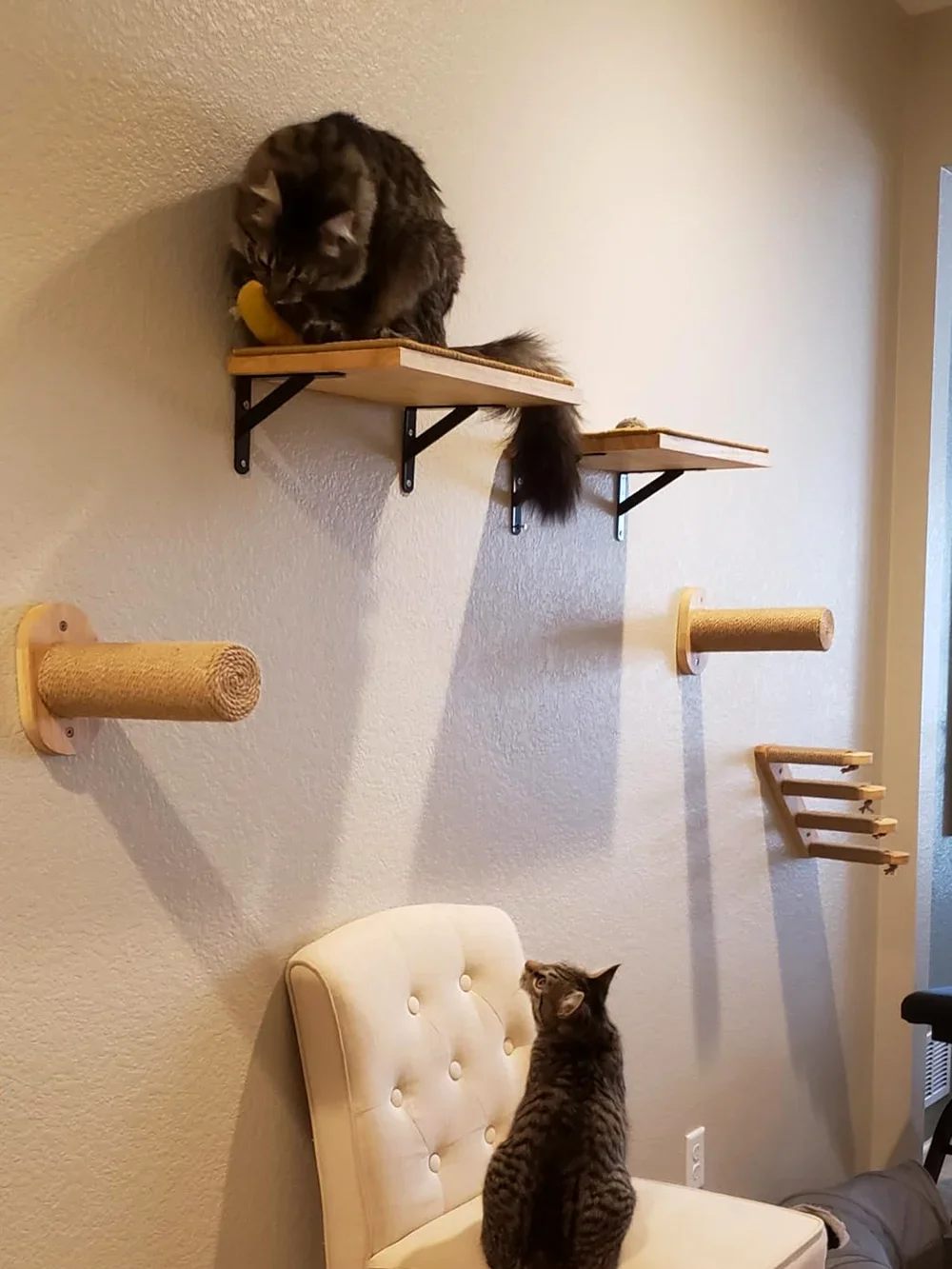 Wall Mounted Cat Tree Wooden S - Cat Wall Climbing Shelves Hammock Wooden 评论和价格