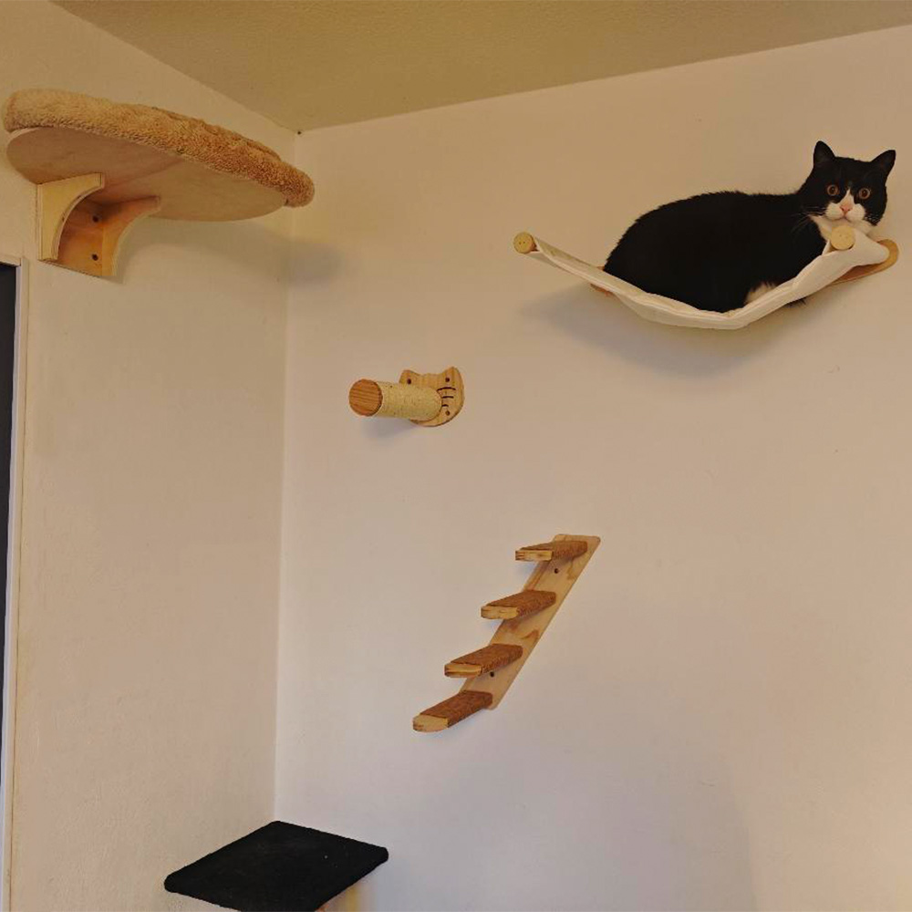 Wall Mounted Cat Climbing Shel - Cat Wall Climbing Shelves Hammock Wooden 评论和价格