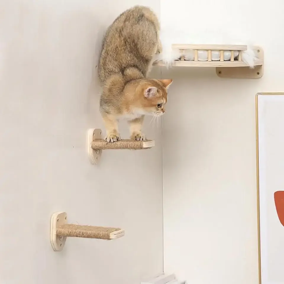 Wall Mounted Cat Climbing Shel - Cat Wall Climbing Shelves Hammock Wooden 评论和价格