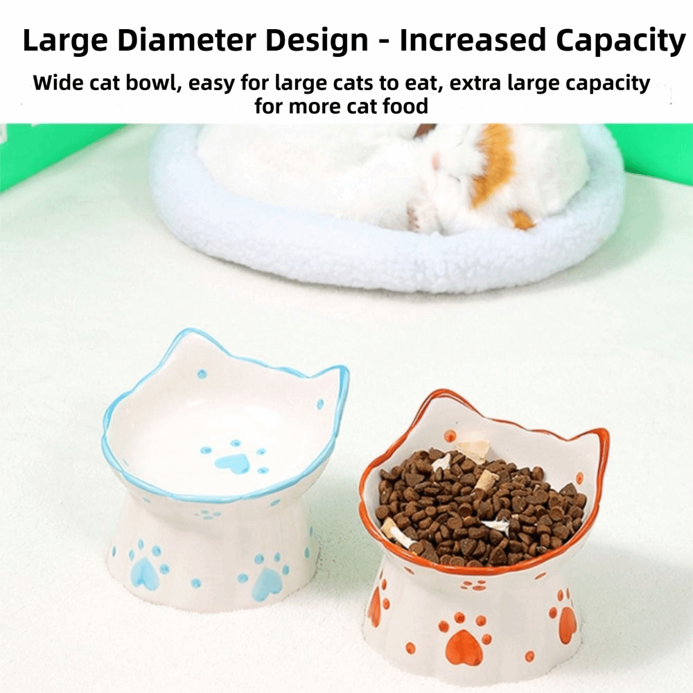15° Tilted Elevated Cat Bowl A - Elevated Ceramic Cat Bowls Tilted Food 评论和价格