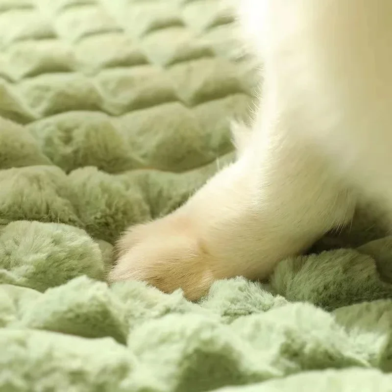 Machine Washable Dog Bed Remov - Orthopedic Memory Foam Dog Bed Washable 评论和价格