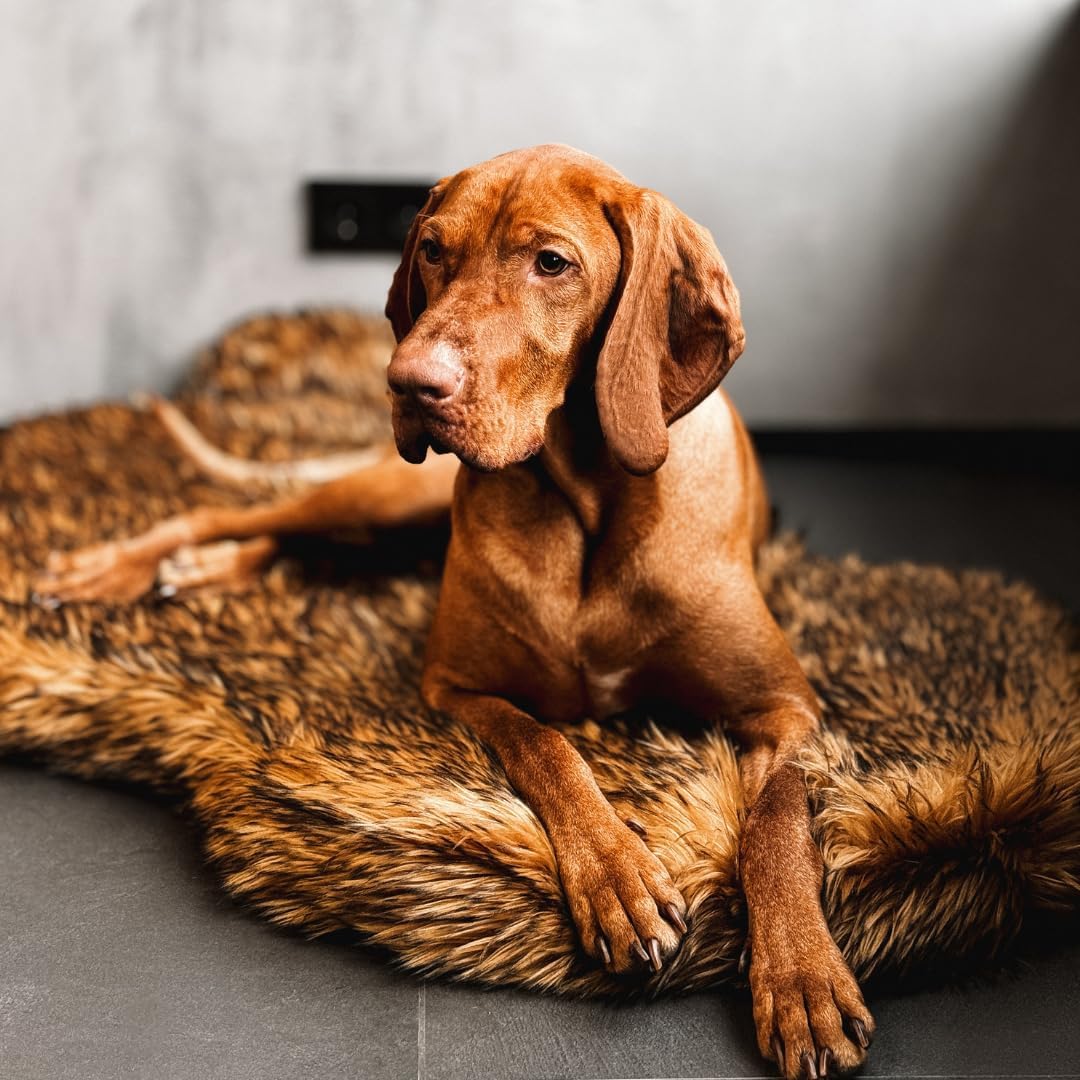 Faux Fur Orthopedic Dog Bed, M - Orthopedic Memory Foam Dog Bed Washable 评论和价格