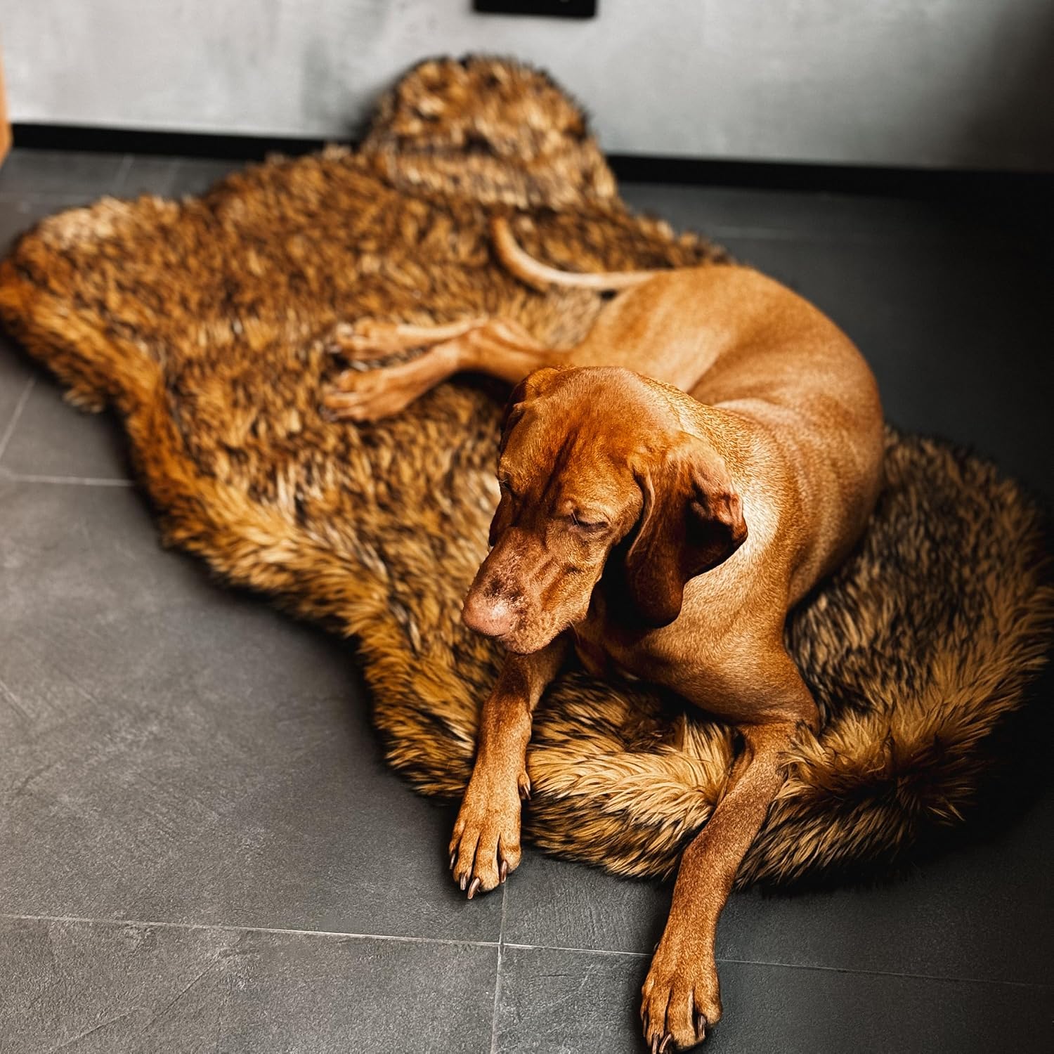 Faux Fur Orthopedic Dog Bed, M - Orthopedic Memory Foam Dog Bed Washable 评论和价格