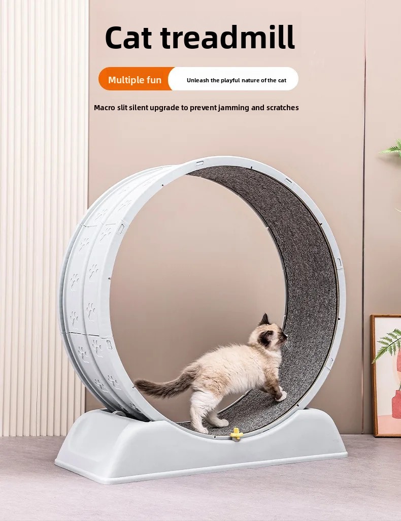 New Cat Treadmill with Silent  - Cat Running Wheel Exercise Treadmill 评论和价格