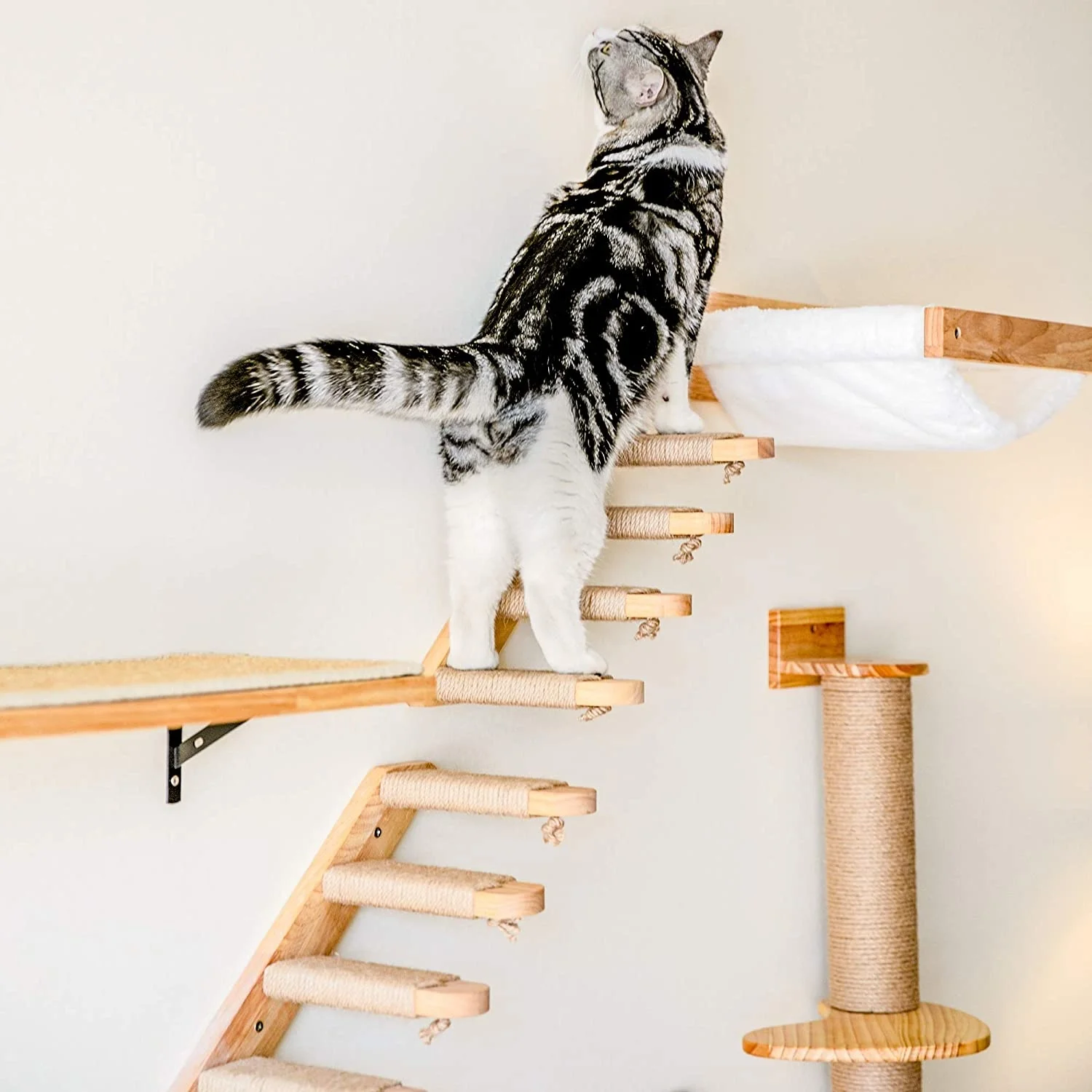Wall-mounted Cat Hammock Bed P - Cat Wall Climbing Shelves Hammock Wooden 评论和价格