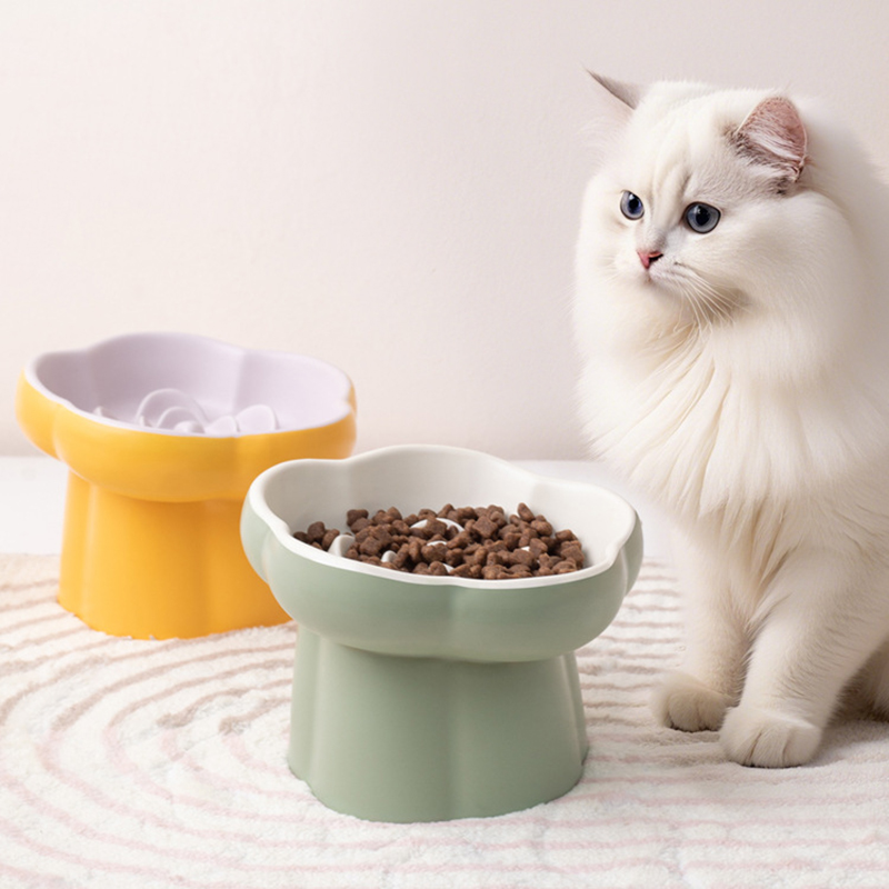 Ceramic Elevated Cat Slow Feed - Elevated Ceramic Cat Bowls Tilted Food 评论和价格