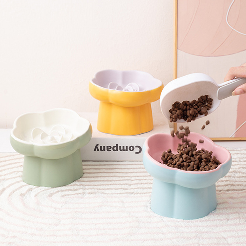 Ceramic Elevated Cat Slow Feed - Elevated Ceramic Cat Bowls Tilted Food 评论和价格