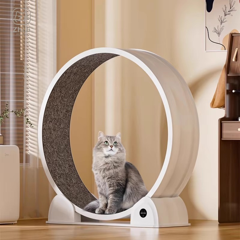 2025 Silent Cat Running Wheel  - Cat Running Wheel Exercise Treadmill 评论和价格