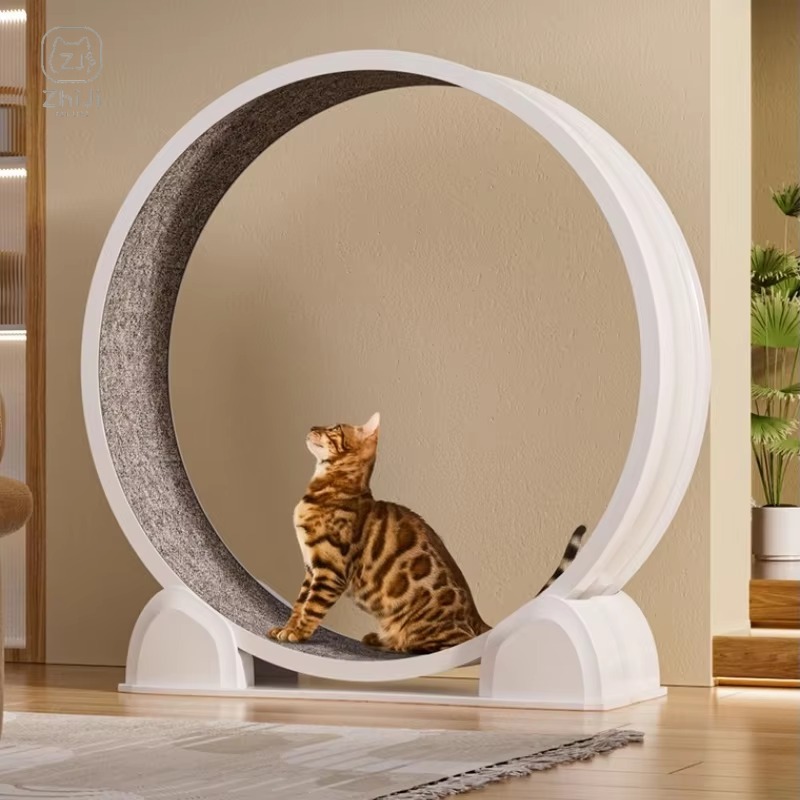 2025 Silent Cat Running Wheel  - Cat Running Wheel Exercise Treadmill 评论和价格